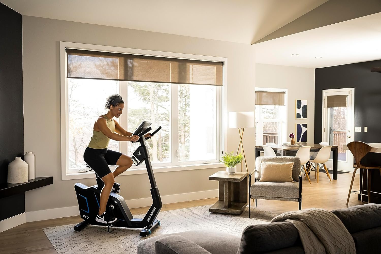 Horizon Fitness 5.0U Upright Exercise Bike