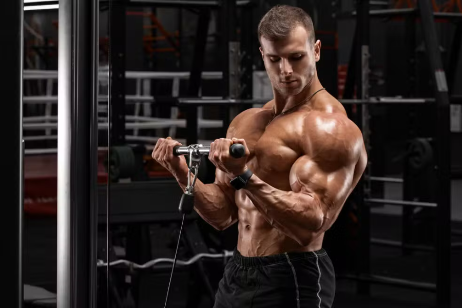 The Best Bicep Workout Without Equipment for Beginners