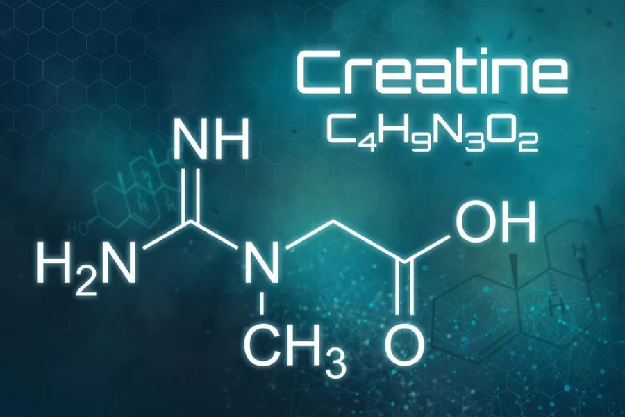 Creatine Explained Benefits Uses and Safety