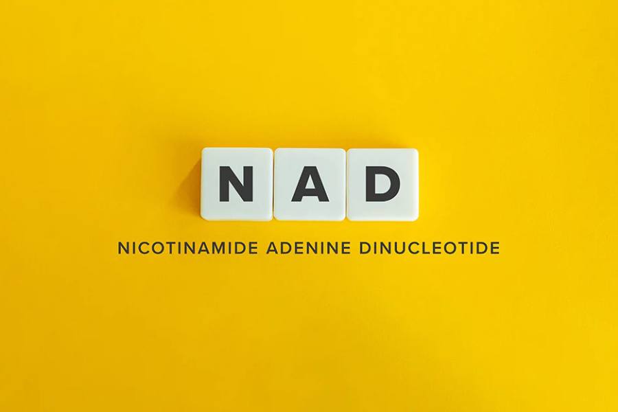 The Surprising Health Perks of Nicotinamide Adenine Dinucleotide Supplements