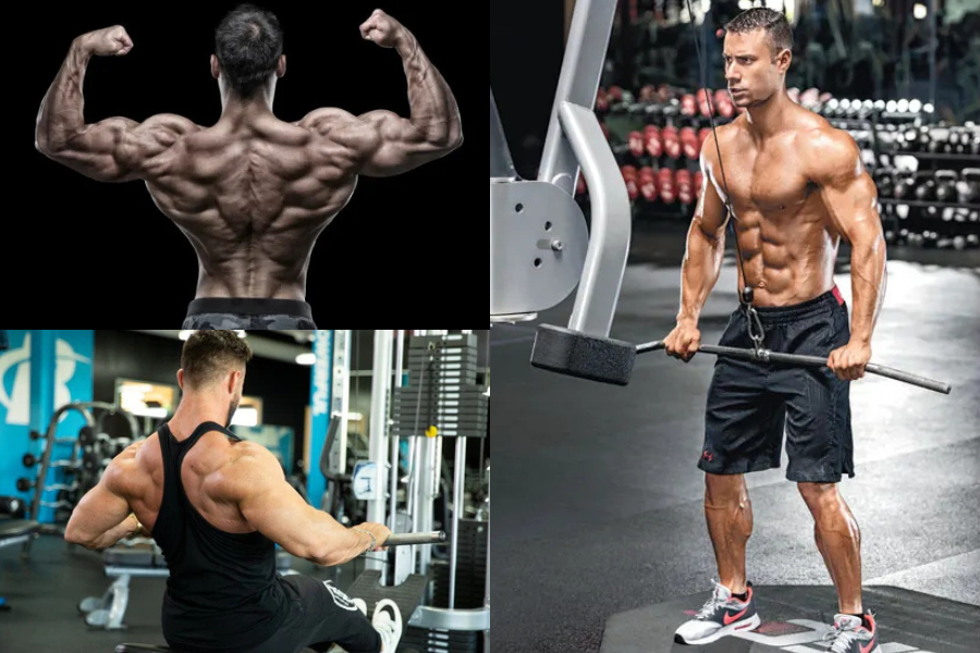 Discover a Good Back Workout for Men Without the Pain