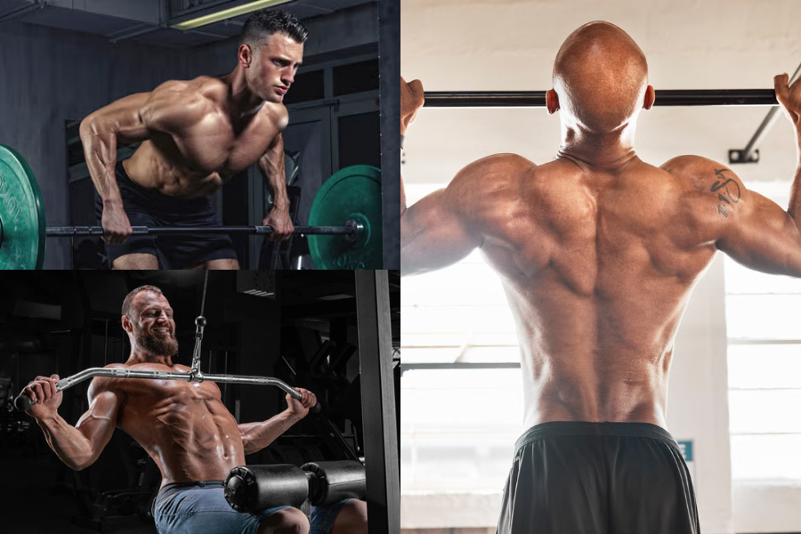 Men's Back Workout
