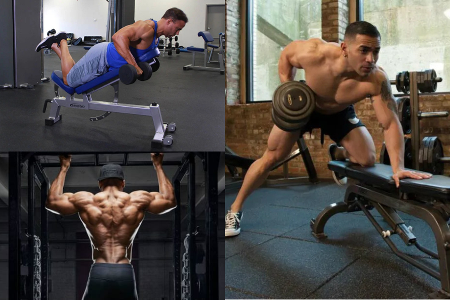 Men's Back Workout
