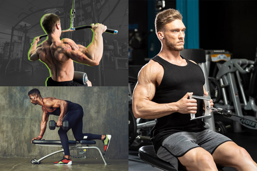 Men's Back Workout