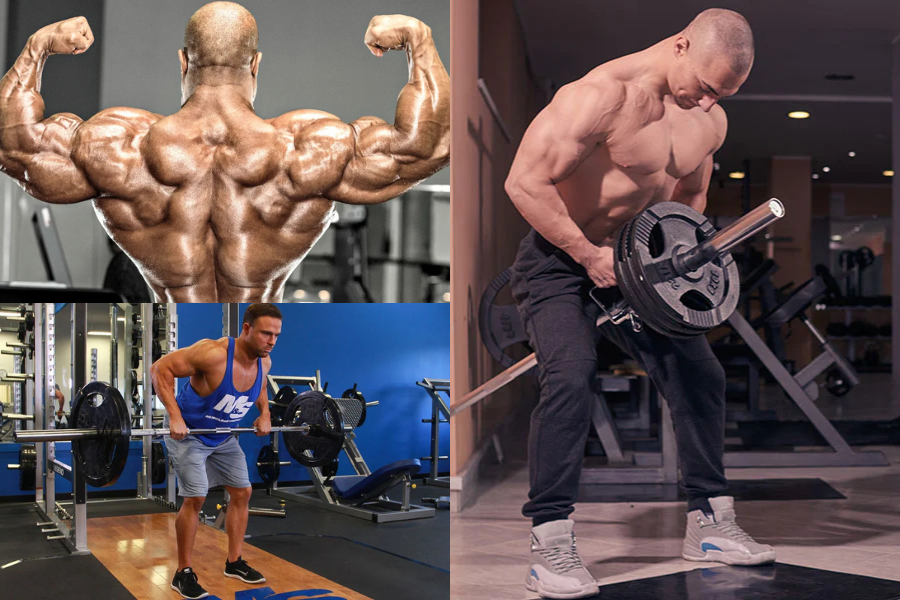 Men's Back Workout
