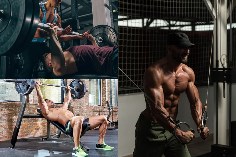 Men's Chest Workout