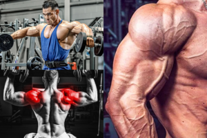 Men's Shoulder Workout