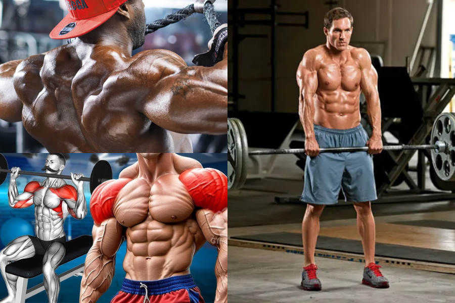 How to Build Massive Shoulders: Best Exercises for Mass