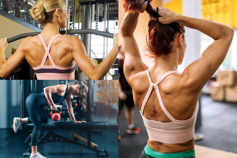 Women's Back Workout